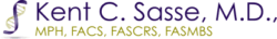 sasse-logo